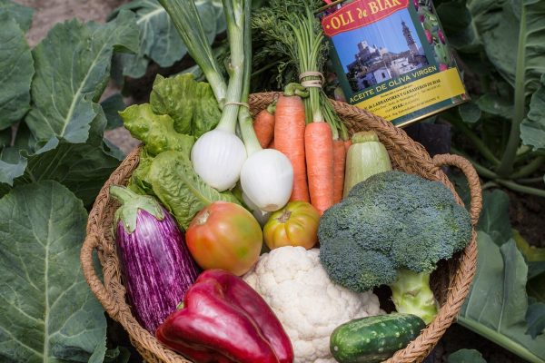 Biar Gastronomía0200_preview - May